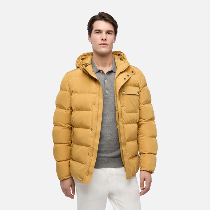 Quilted parka PIEVE MAN Honey mustard | GEOX