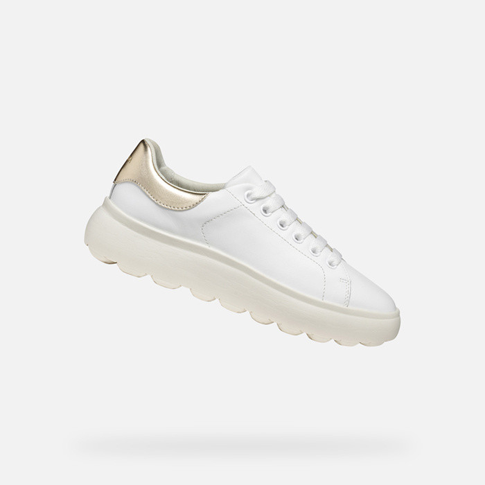 Low top sneakers SPHERICA EC4.1 WOMAN White/Light Gold | GEOX