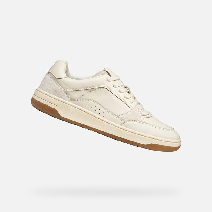Low top sneakers SEDRAL COURT MAN Papyrus/Beige | GEOX