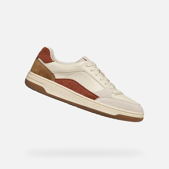 Low top sneakers SEDRAL COURT MAN Papyrus | GEOX