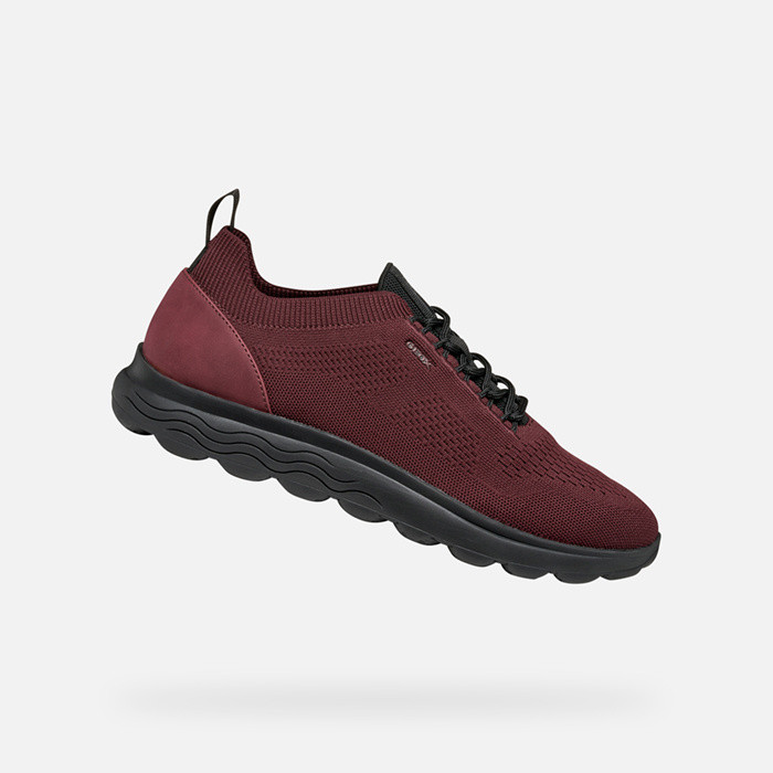 Fabric sneakers SPHERICA MAN Wine/Black | GEOX