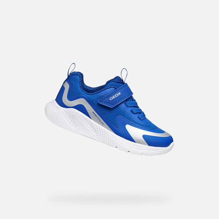 Low top sneakers SPRINTYE   BOY Royal | GEOX