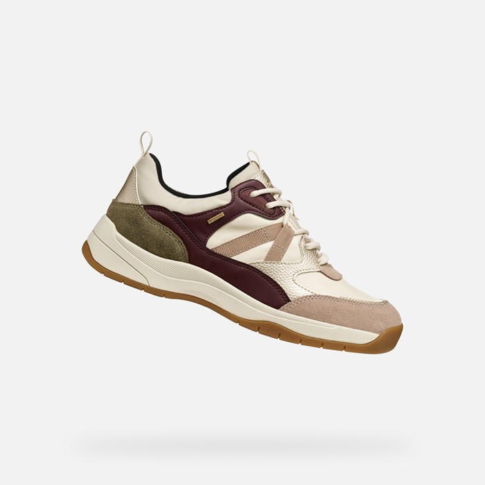 Waterproof trainers BERINIKE ABX WOMAN Papyrus/Wine | GEOX