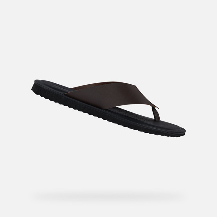 Thong sandals ERICE MAN Coffee | GEOX